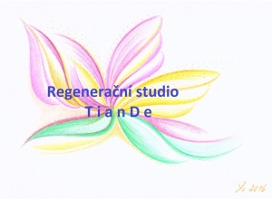 Regenerační studio Tiande Veronika Brezovská