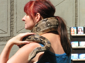 Věra Tomisová