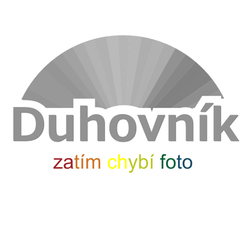 Buton - placka - IV. čakra